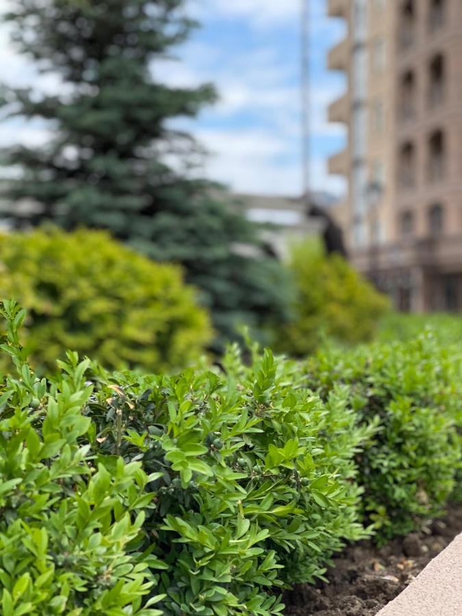 Arkadia Elegia * Odesa